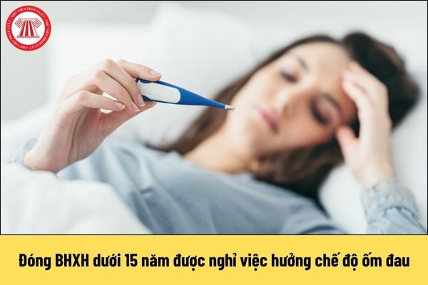 Đóng BHXH dưới 15 năm được nghỉ việc hưởng chế độ ốm đau không?