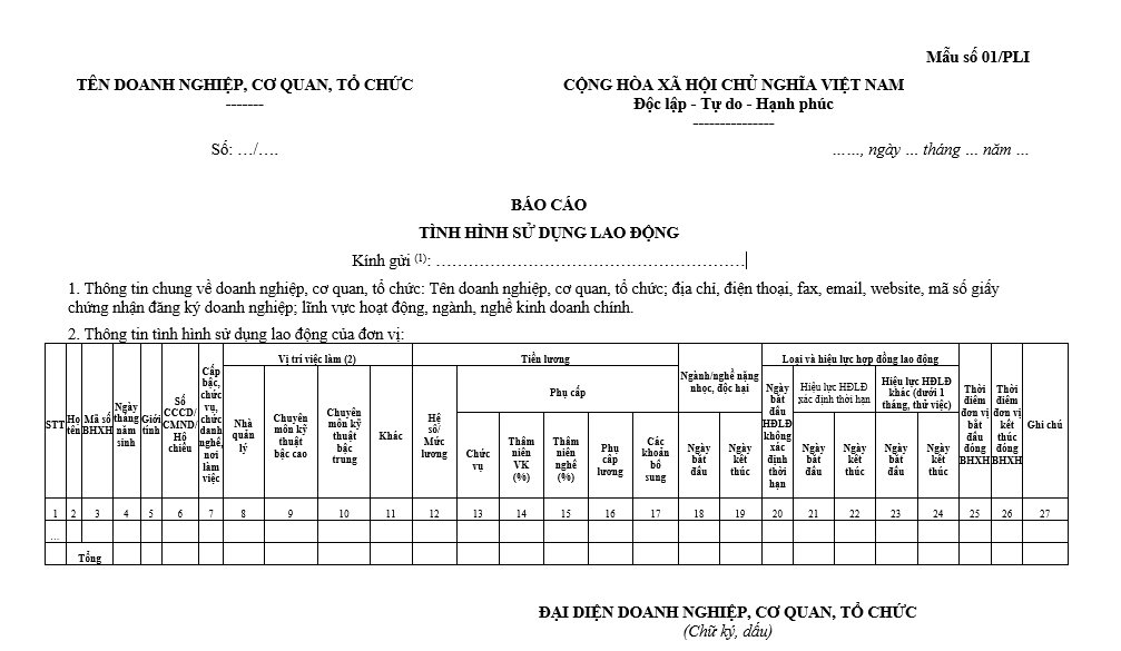 Mẫu báo cáo tình hình sử dụng lao động 06 tháng cuối năm 2024