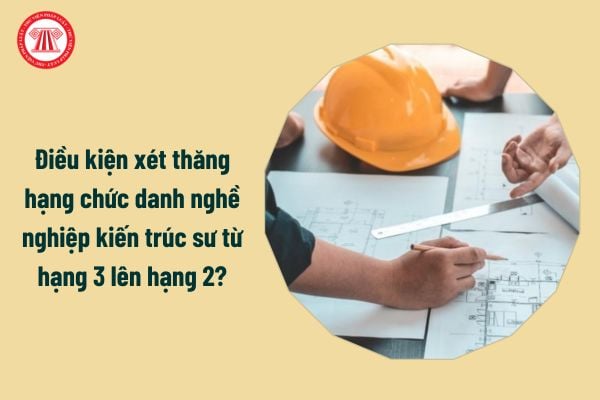 kiến trúc sư