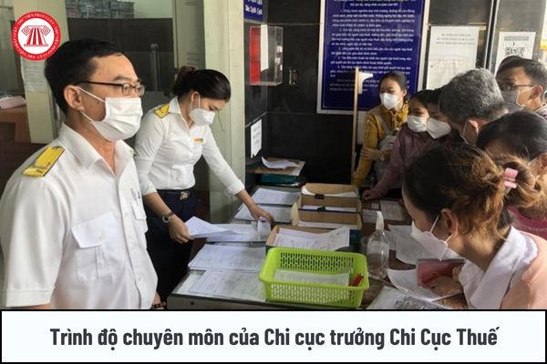 Pháp luật