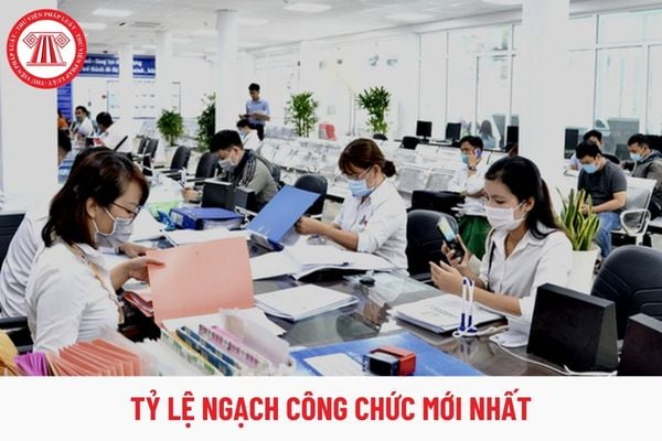 Thông tư 04: Tỷ lệ ngạch công chức từ 15/8/2024 như thế nào?