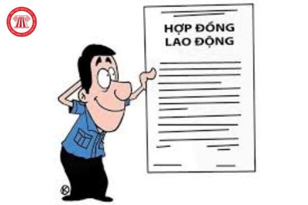 Lao Động Tiền Lương
