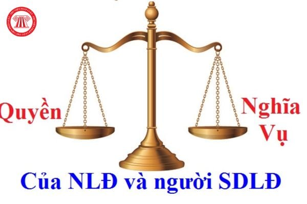 Lao Động Tiền Lương