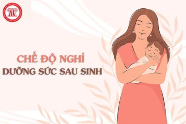 Lao Động Tiền Lương