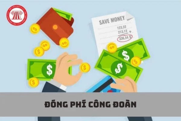 Lao Động Tiền Lương