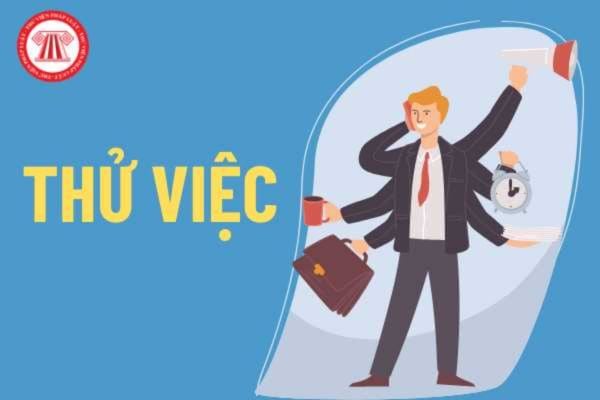 Lao Động Tiền Lương