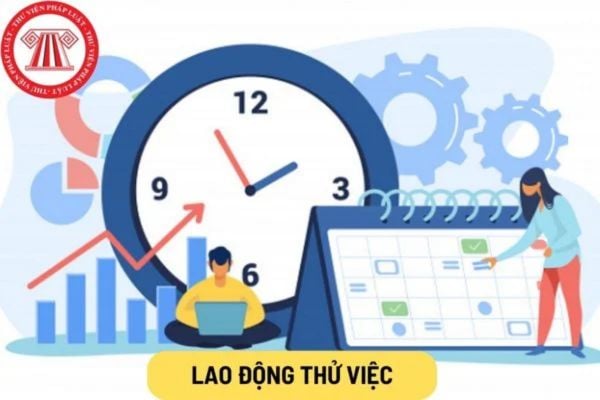 Lao Động Tiền Lương
