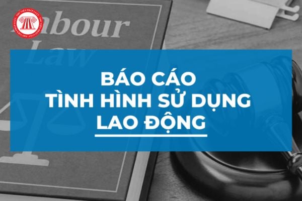 Lao Động Tiền Lương