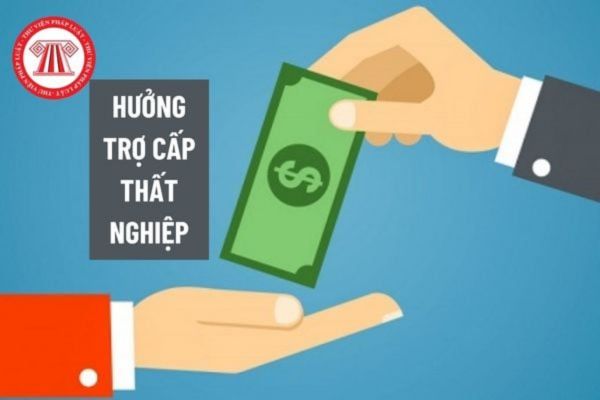 Lao Động Tiền Lương