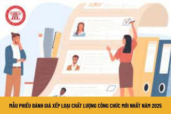 Lao Động Tiền Lương