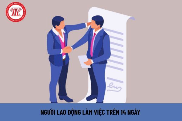 Lao Động Tiền Lương