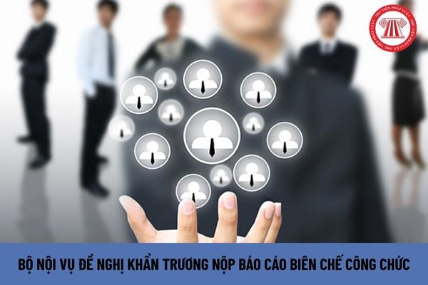 Lao Động Tiền Lương