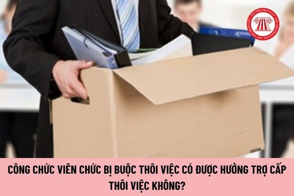 Lao Động Tiền Lương