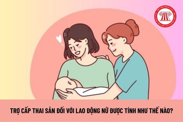 Lao Động Tiền Lương