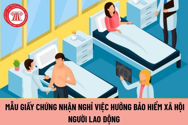 Lao Động Tiền Lương