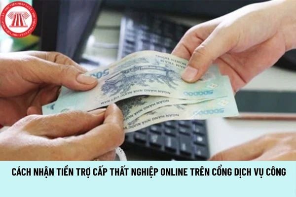 Lao Động Tiền Lương