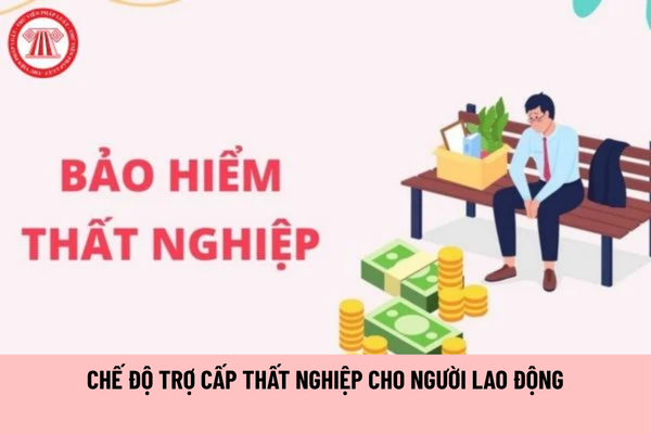 Chế độ trợ cấp thất nghiệp cho người lao động được quy định ra sao?