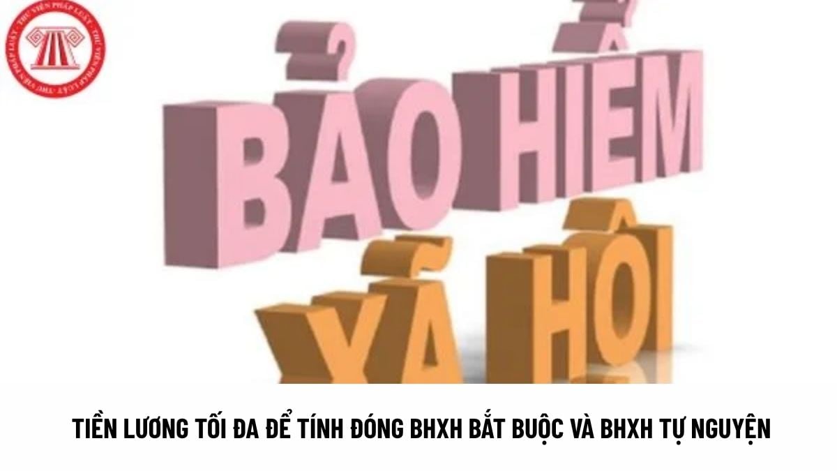 Lao Động Tiền Lương