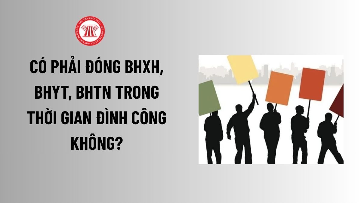 Lao Động Tiền Lương
