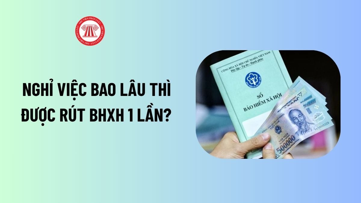 Lao Động Tiền Lương