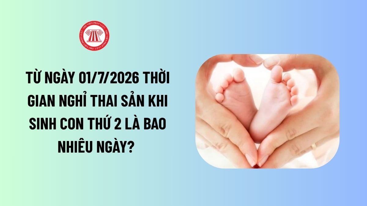 Lao Động Tiền Lương