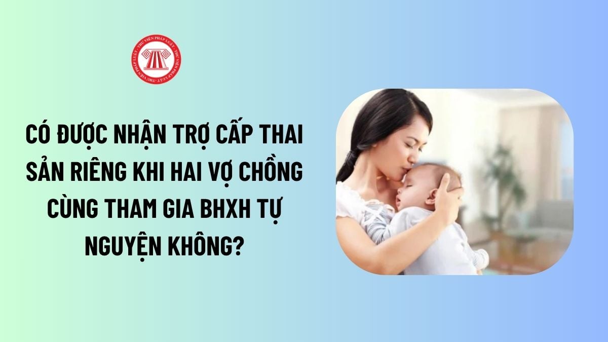 Lao Động Tiền Lương