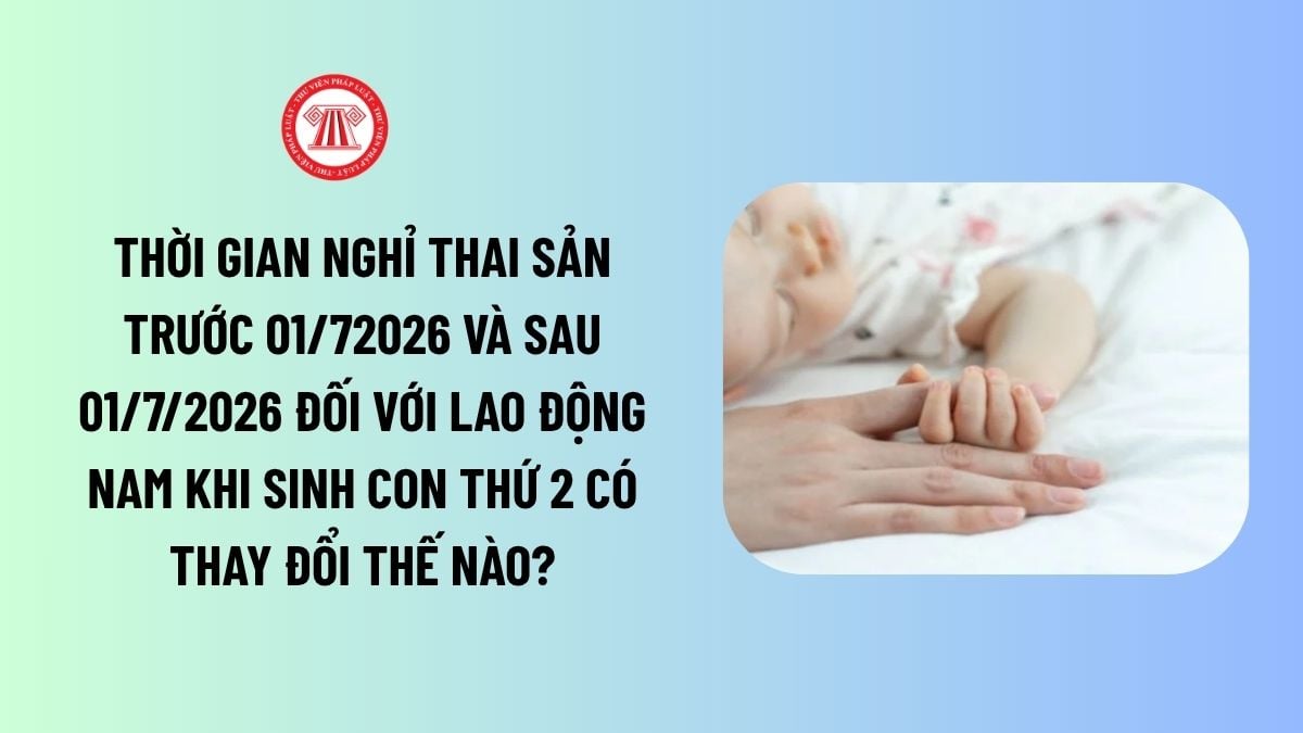 Lao Động Tiền Lương