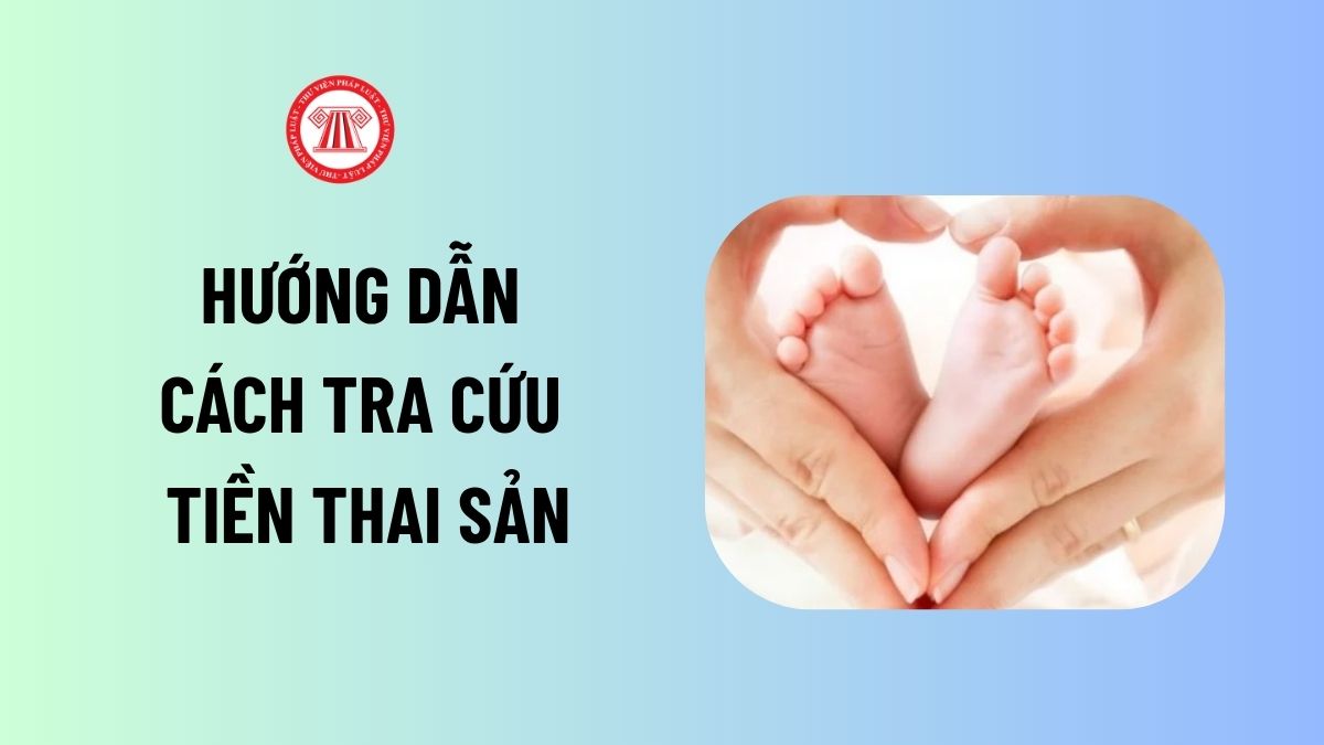 Lao Động Tiền Lương