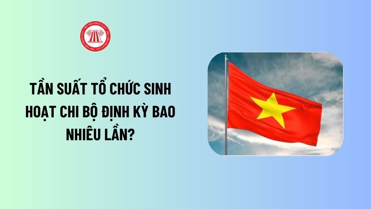 Tần suất tổ chức sinh hoạt chi bộ định kỳ bao nhiêu lần?