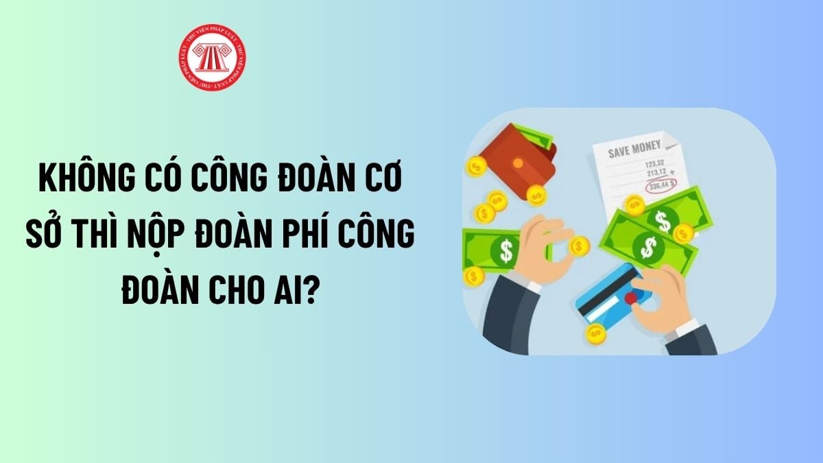 Lao Động Tiền Lương