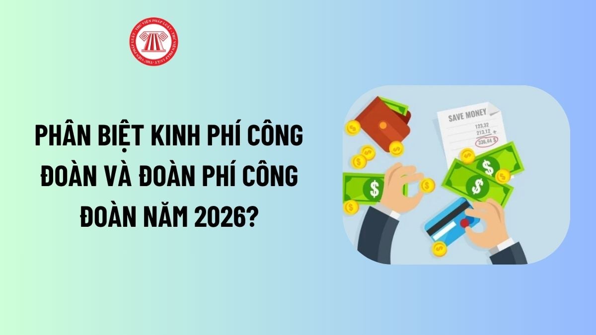 Lao Động Tiền Lương