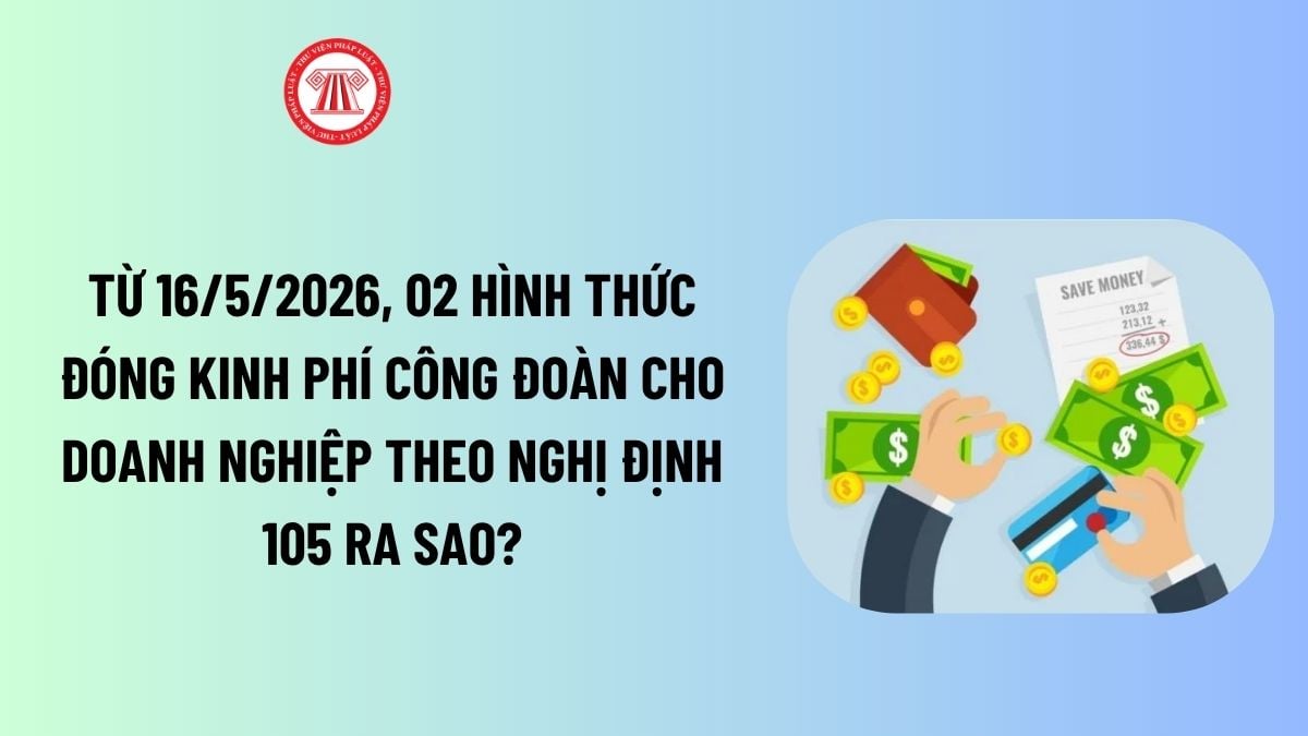 Lao Động Tiền Lương