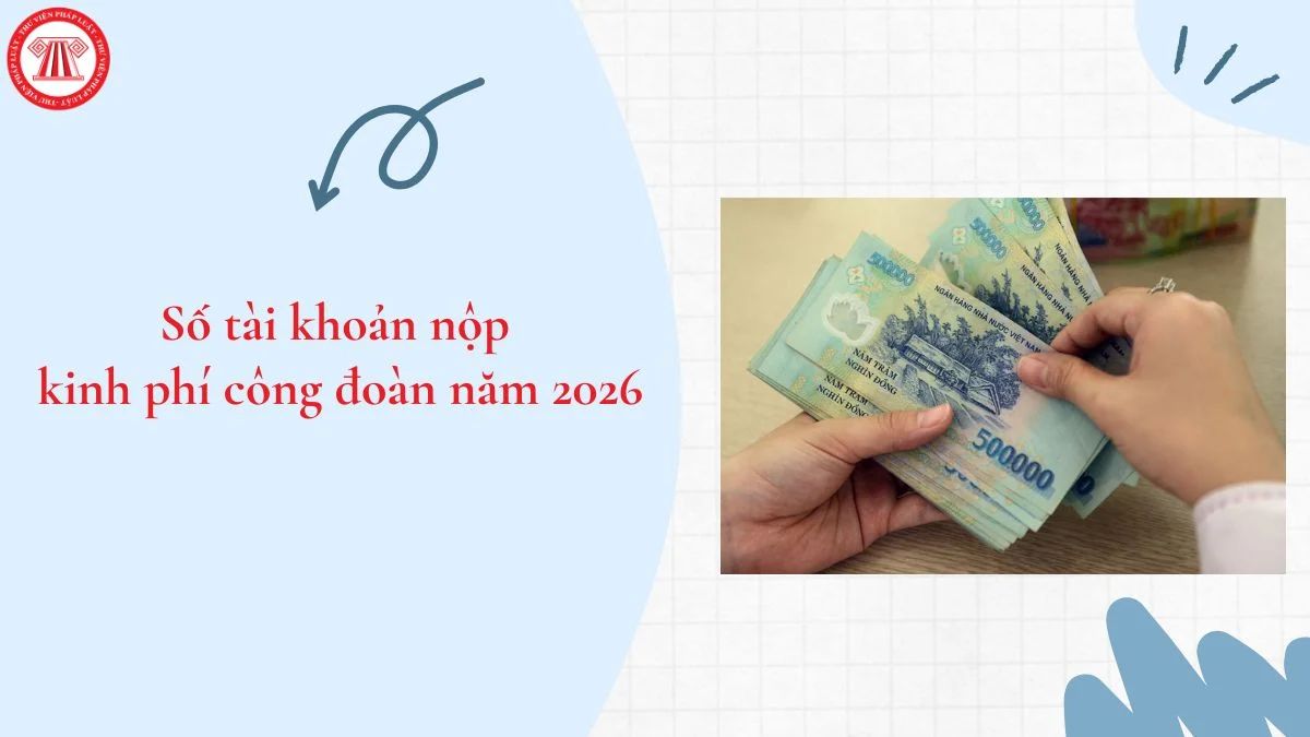 Lao Động Tiền Lương