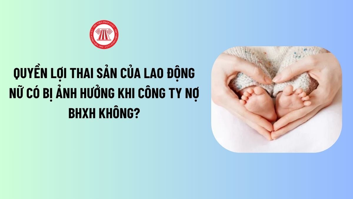 Lao Động Tiền Lương