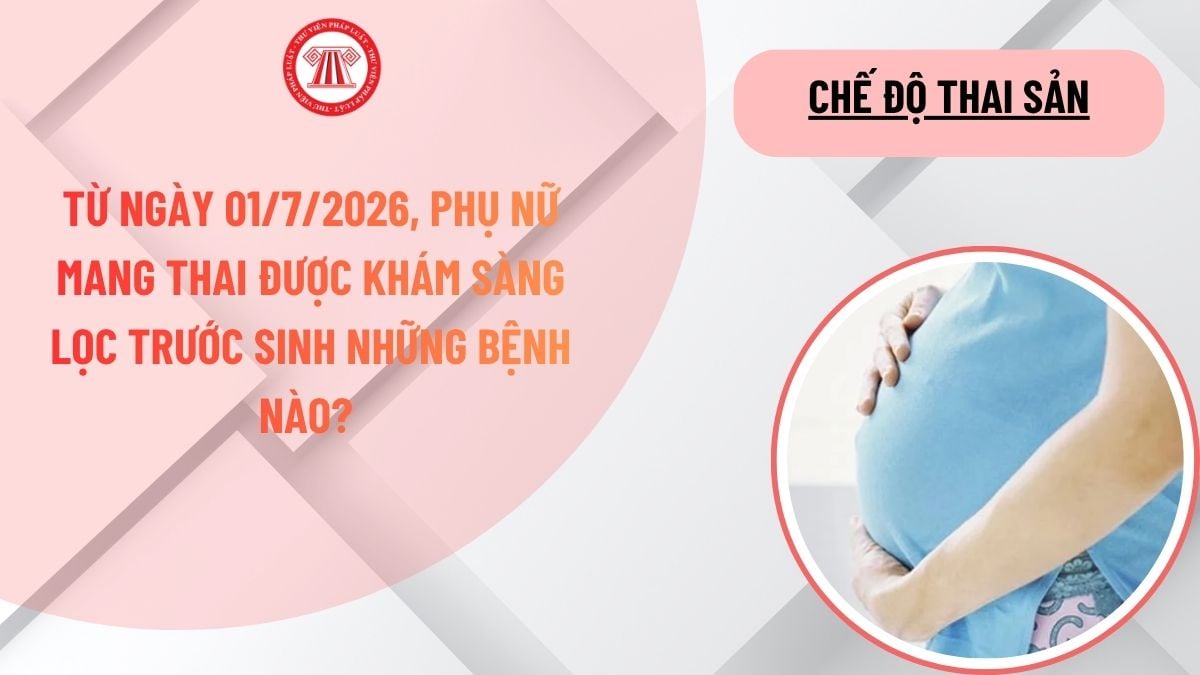 Lao Động Tiền Lương