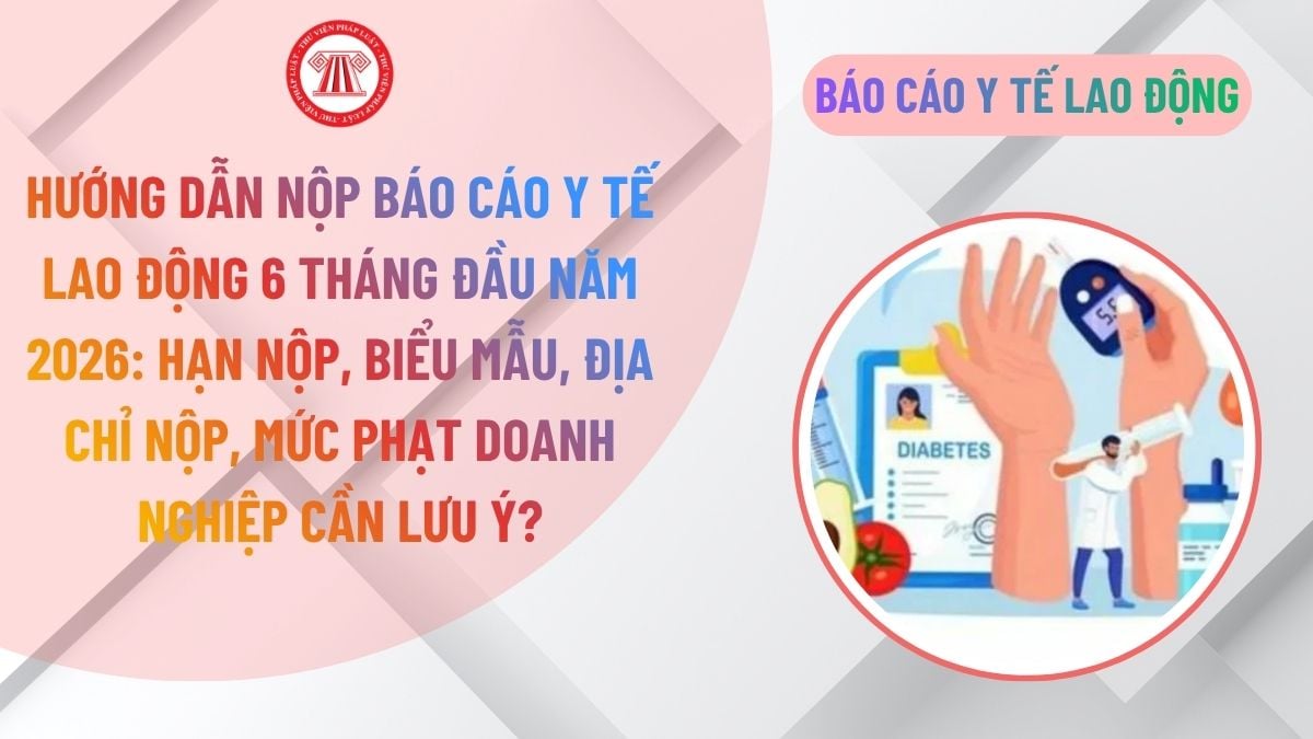 Lao Động Tiền Lương