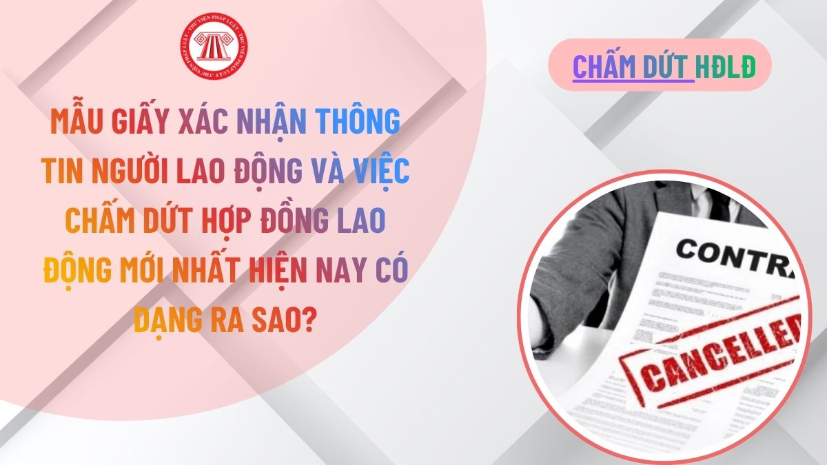 Lao Động Tiền Lương