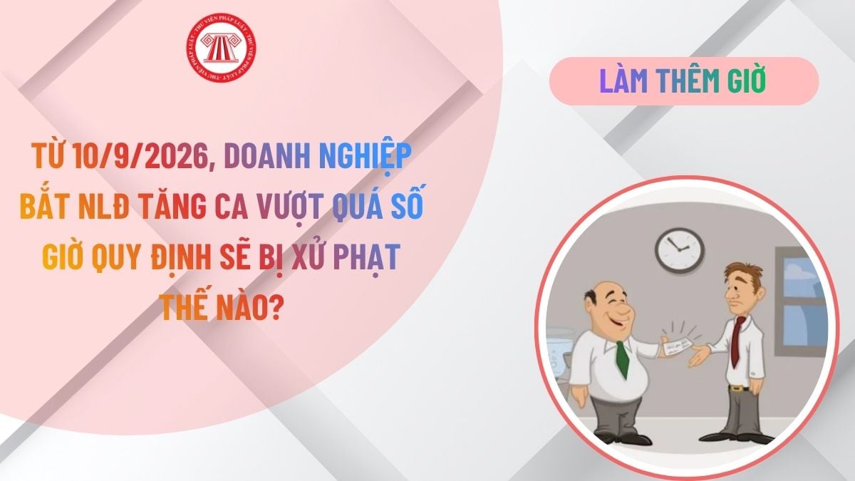 Lao Động Tiền Lương