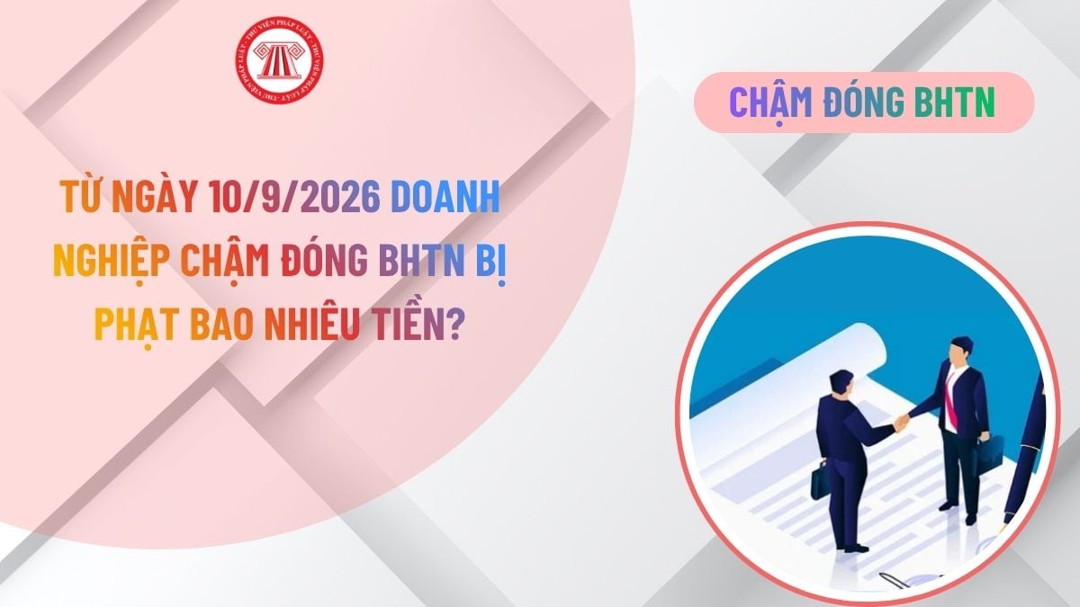 Lao Động Tiền Lương