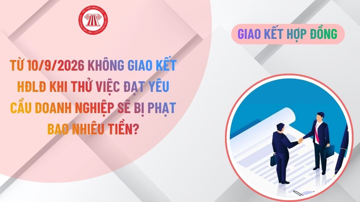 Lao Động Tiền Lương