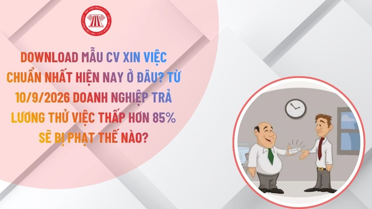 Lao Động Tiền Lương