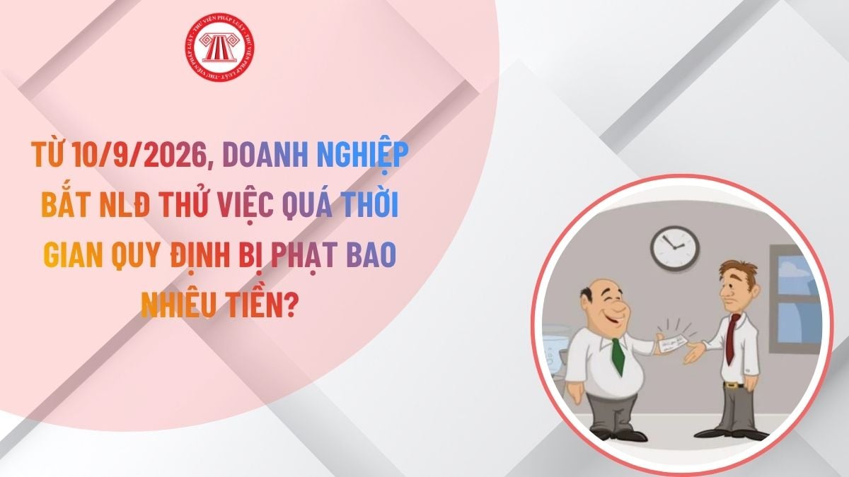 Lao Động Tiền Lương