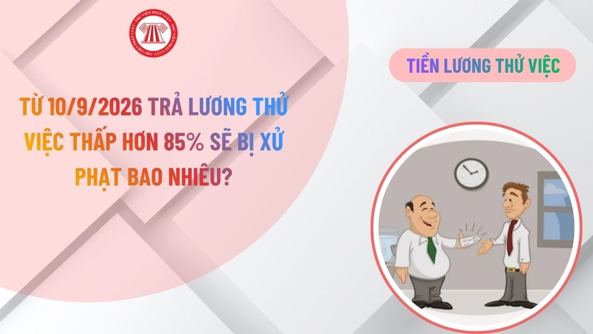Lao Động Tiền Lương