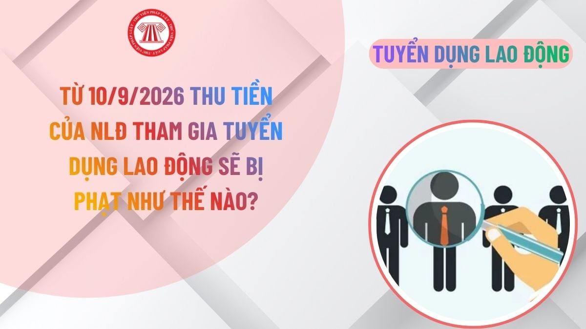 Lao Động Tiền Lương