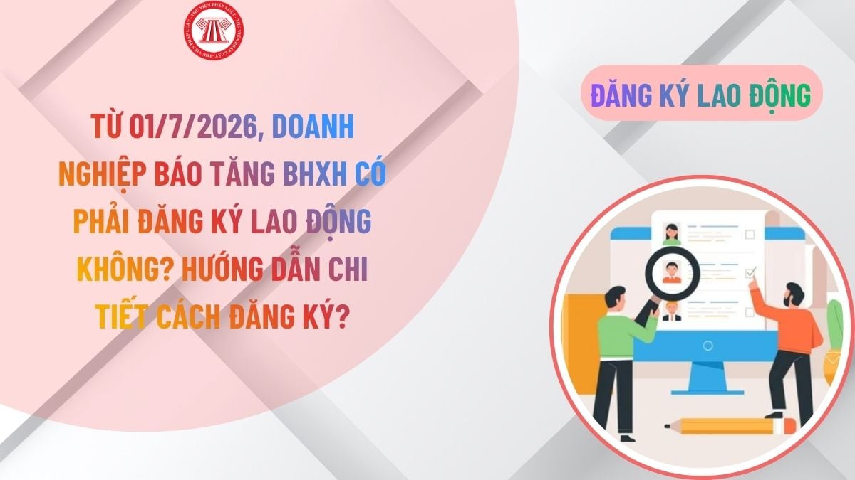 Lao Động Tiền Lương