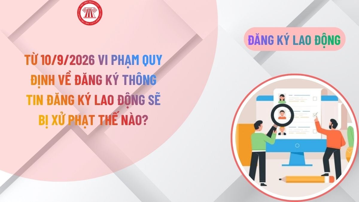 Lao Động Tiền Lương