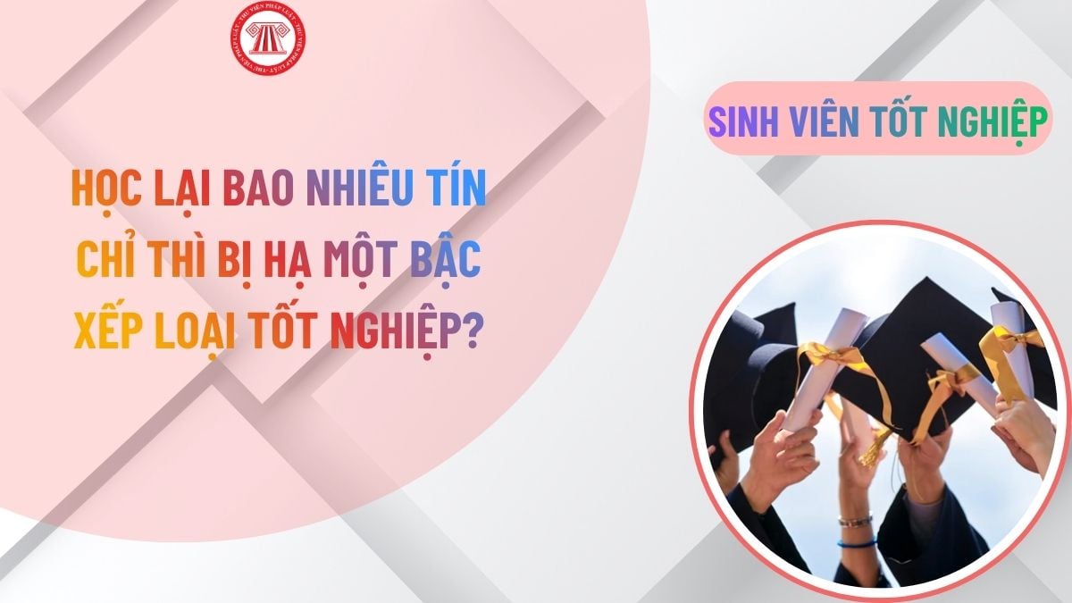 Lao Động Tiền Lương