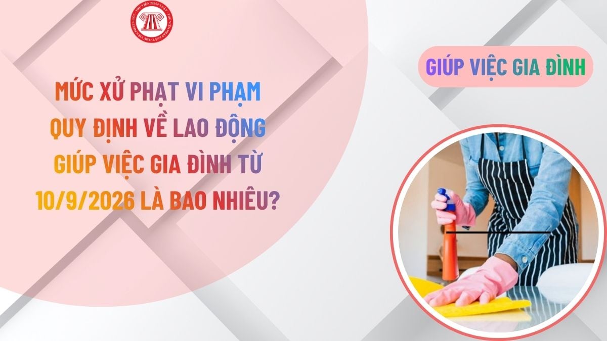 Lao Động Tiền Lương