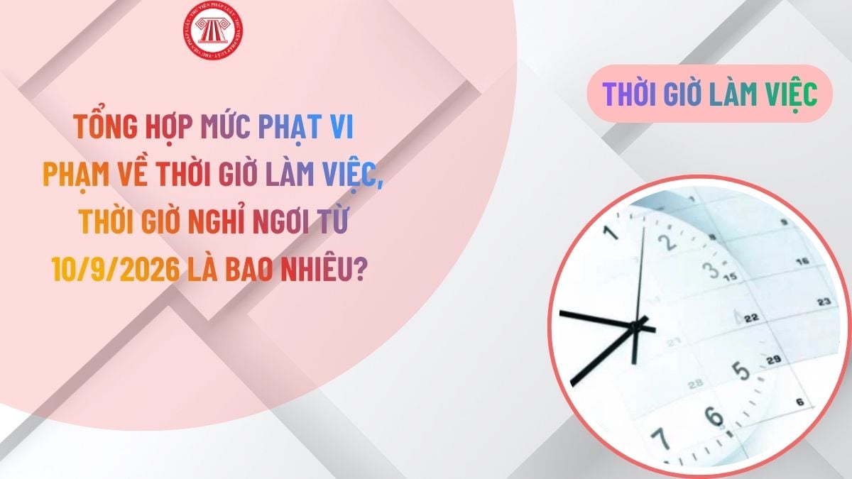 Lao Động Tiền Lương