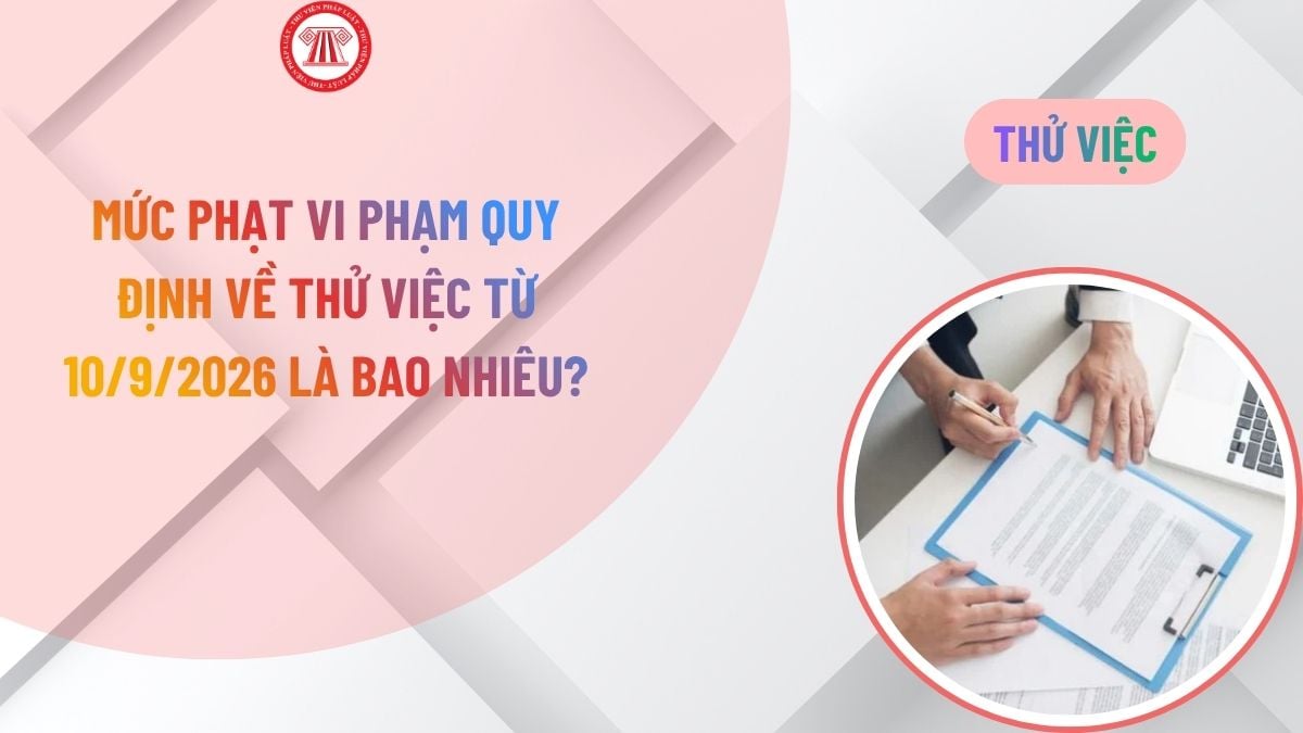 Lao Động Tiền Lương